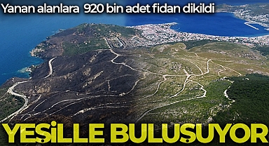 İzmir’in yanan alanları yeşillendi