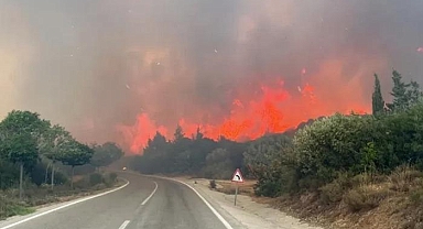 Çanakkale Valiliği açıkladı! Ormanlara giriş yasağı uzatıldı